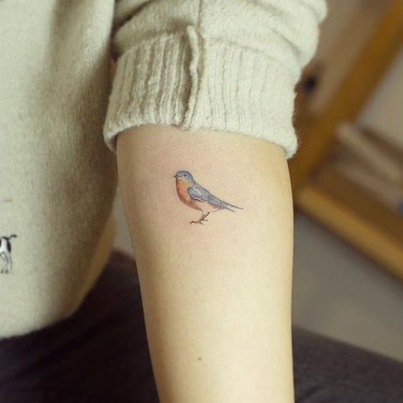 bluebird tattoo designs
